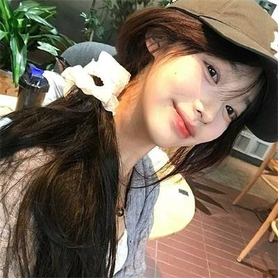 完美的独裁国家